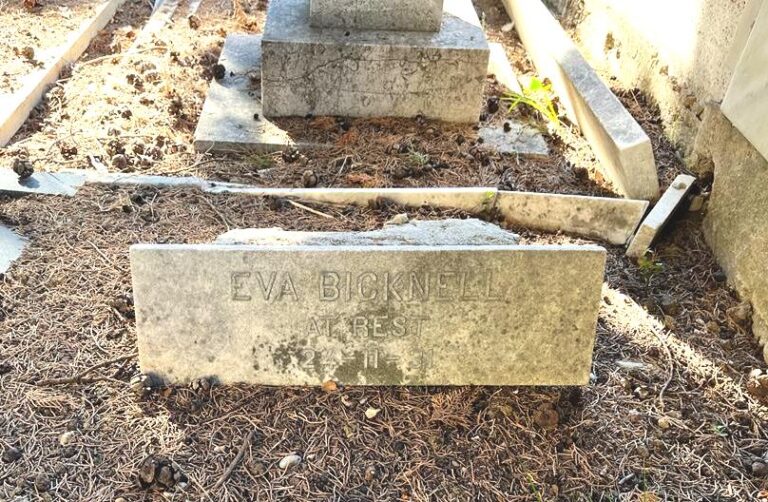 Eva Mary Bicknell of the Farnham Bicknells 18571931 The Bicknell Family